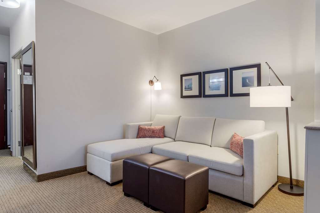 Comfort Suites La Porte Baytown - photo 13