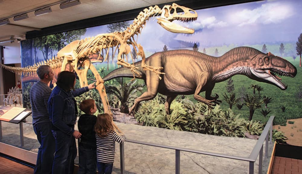 Holiday Inn Express Vernal Dinosaurland by IHG - photo 55