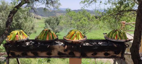 Houcine gite — 4-Star Luxury Hotel in Taza, Morocco