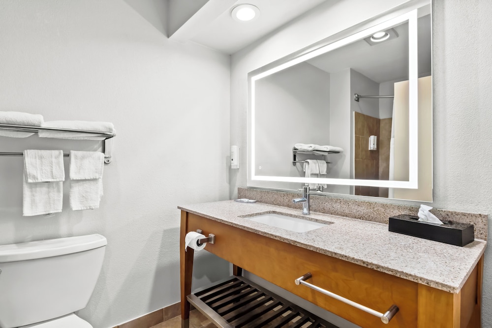 Quality Inn & Suites San Antonio Airport Stone Oak - photo 4