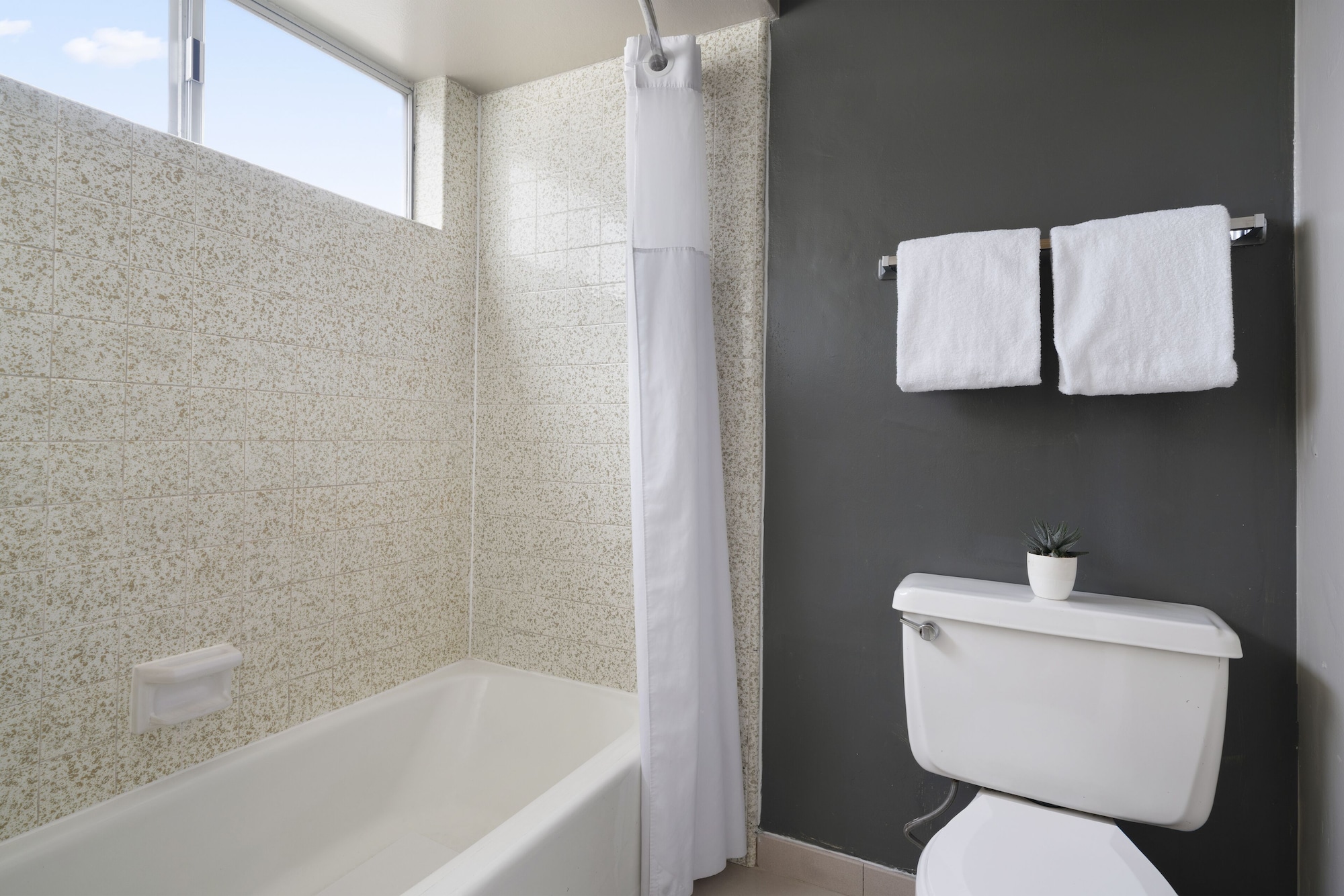 Vagabond Inn Ventura - photo 4