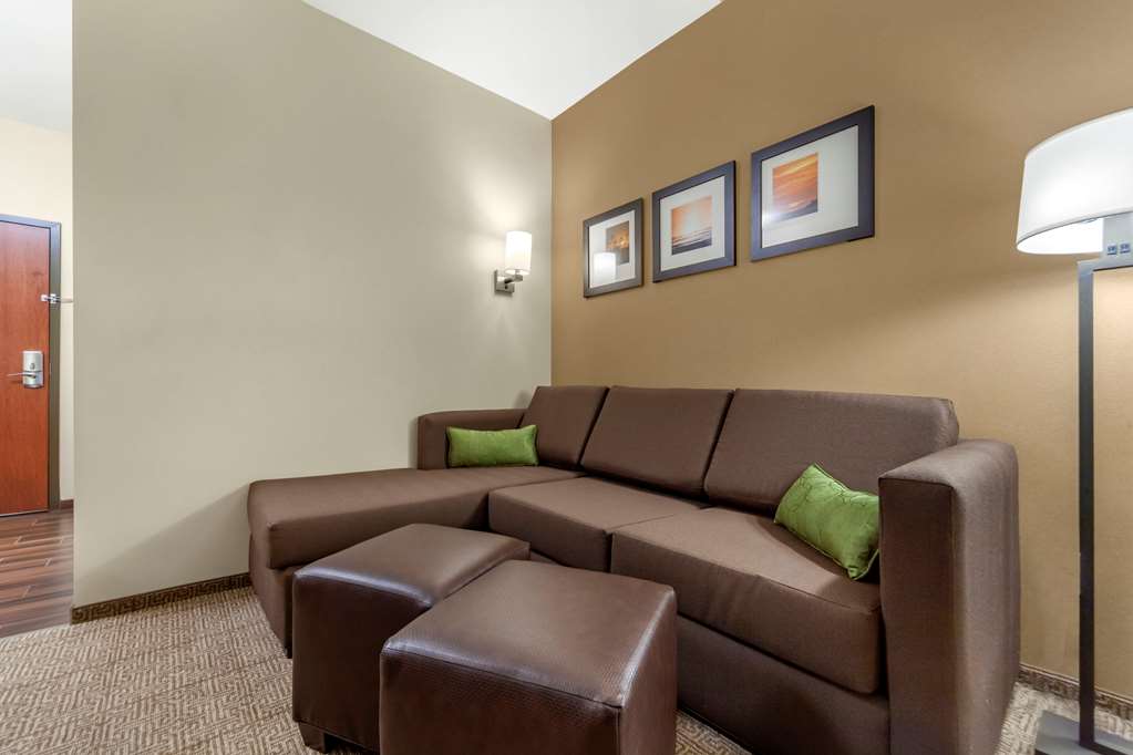 Comfort Suites Grand Island South - photo 14