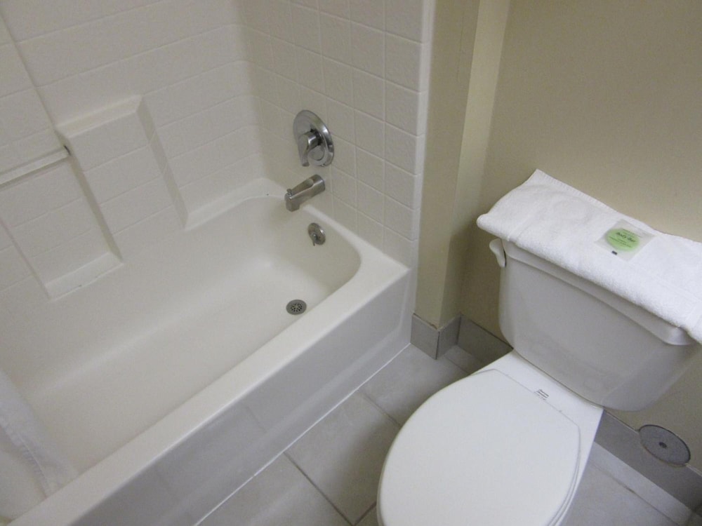 Yellowstone Lodge - photo 14