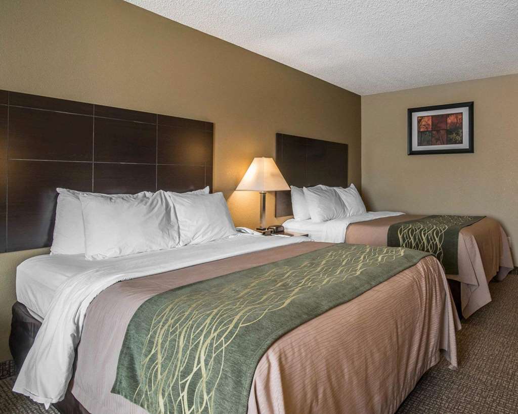 Comfort Inn Saugerties - photo 18