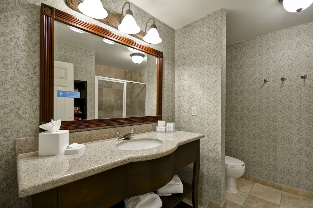 Hampton Inn and Suites Savannah Historic District - photo 35