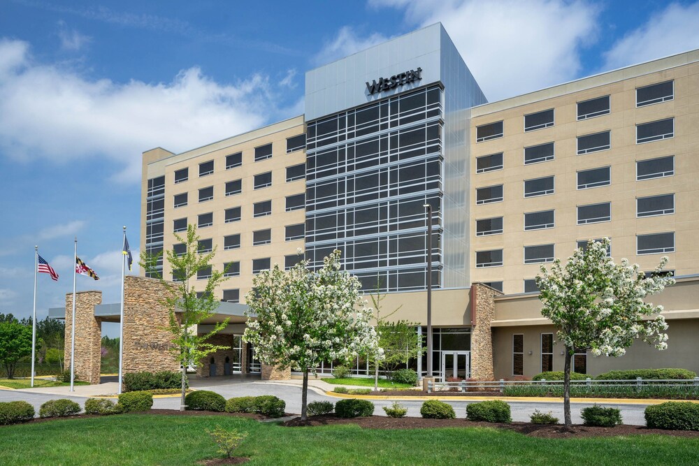 The Westin Baltimore Washington Airport BWI - photo 49