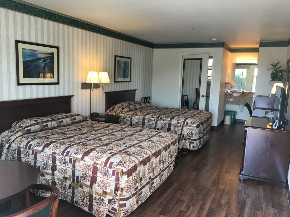 Emerald Dolphin Inn & Mini Golf - photo 16