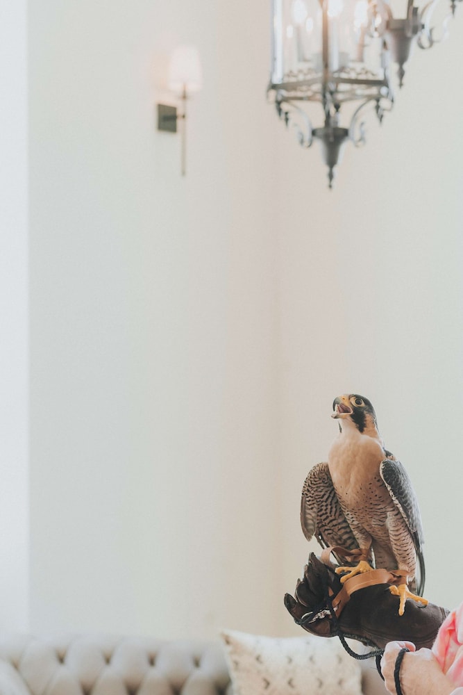 The Peregrine Omaha Downtown Curio Collection by Hilton - photo 56