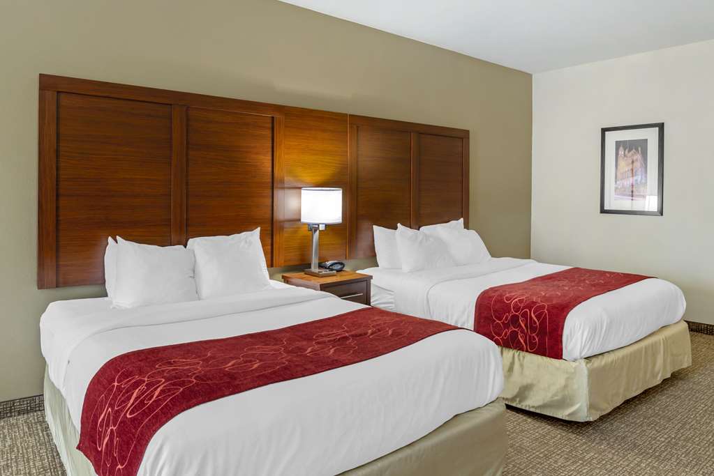 Comfort Suites At Virginia Center Commons - photo 19