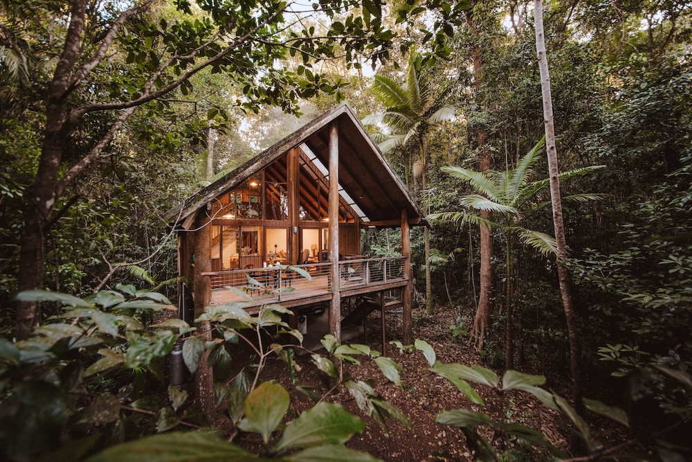 The Canopy Rainforest Treehouses & Wildlife Sanctuary — Atherton — photo 5
