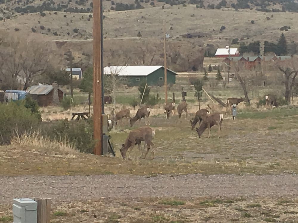 South Fork Lodge & RV Park - photo 25
