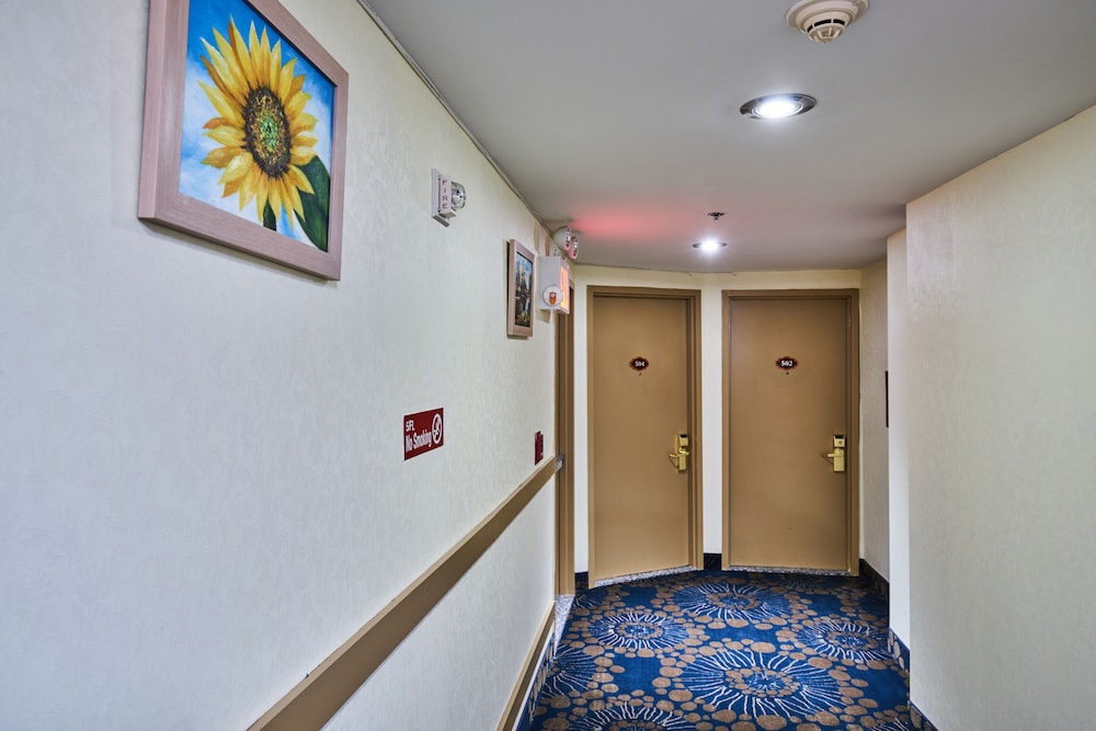 Flushing Hotel - photo 47