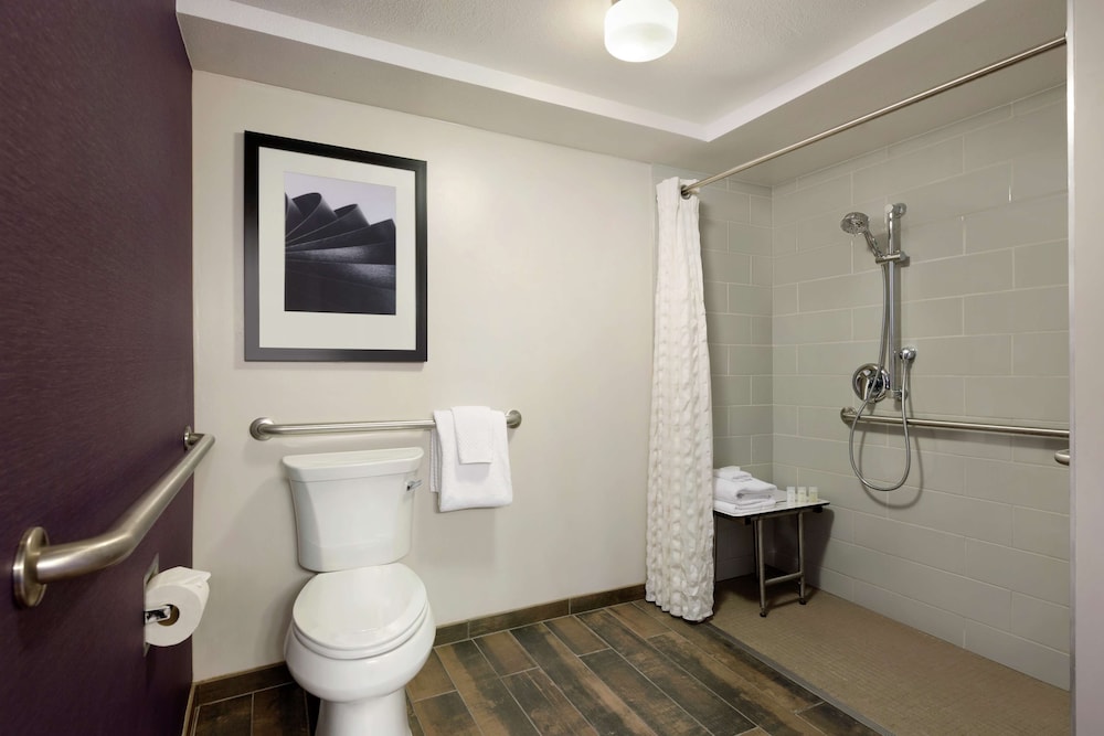 Embassy Suites by Hilton Santa Ana Orange County Airport - photo 32