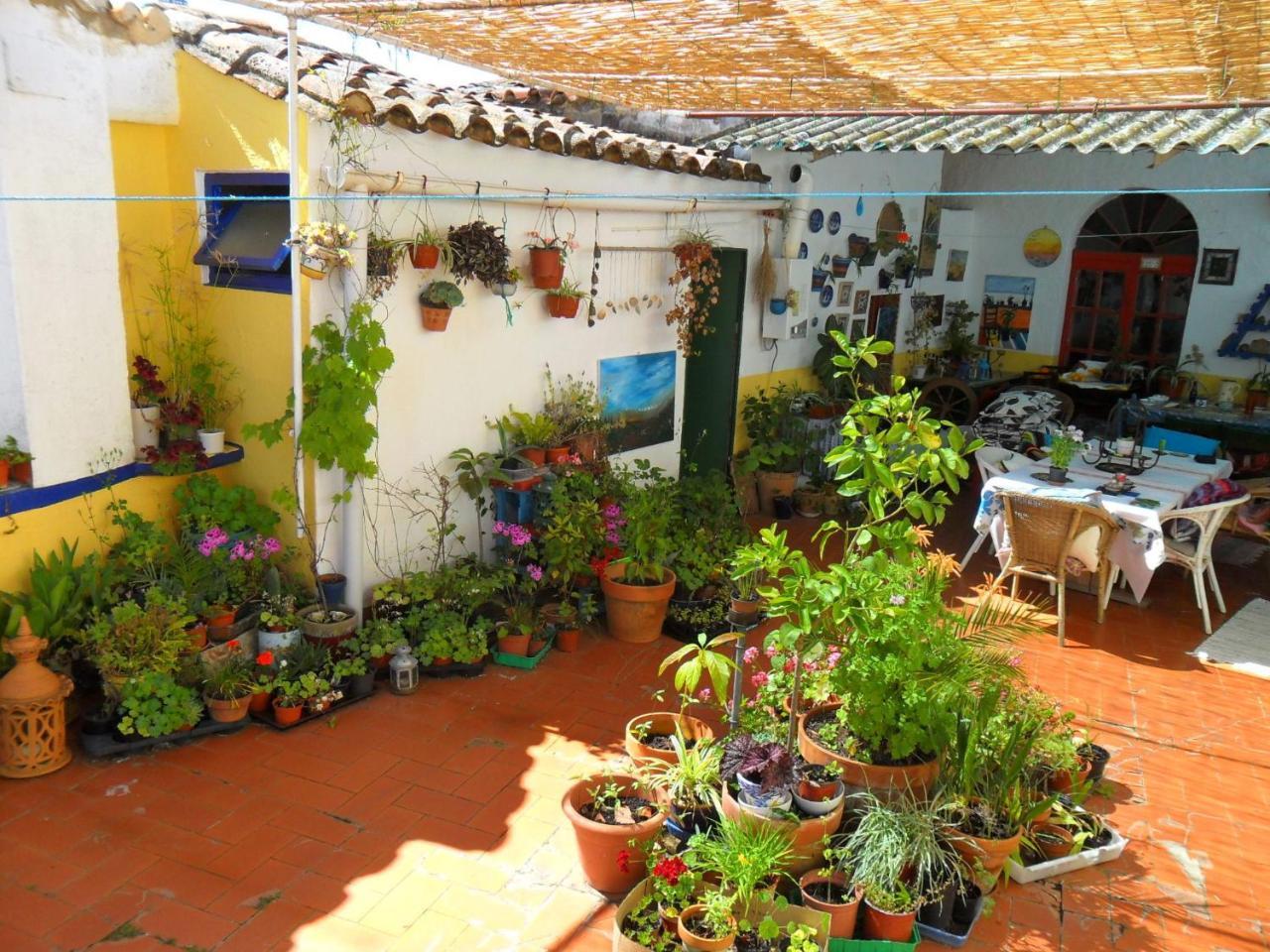 Casa Annette — Cortelazor — photo 4