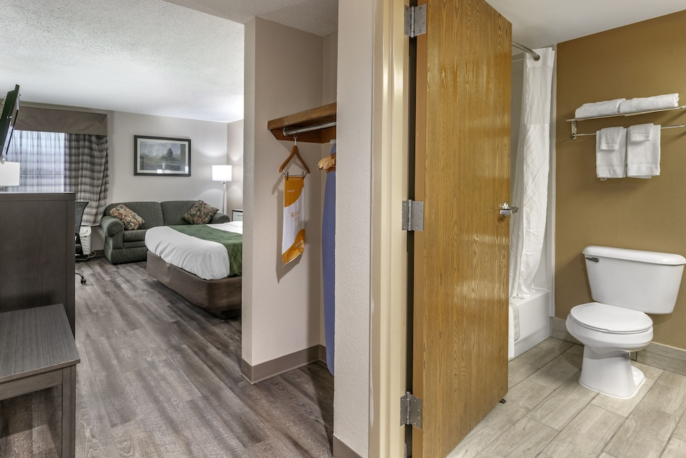 Quality Inn Rogersville - photo 14