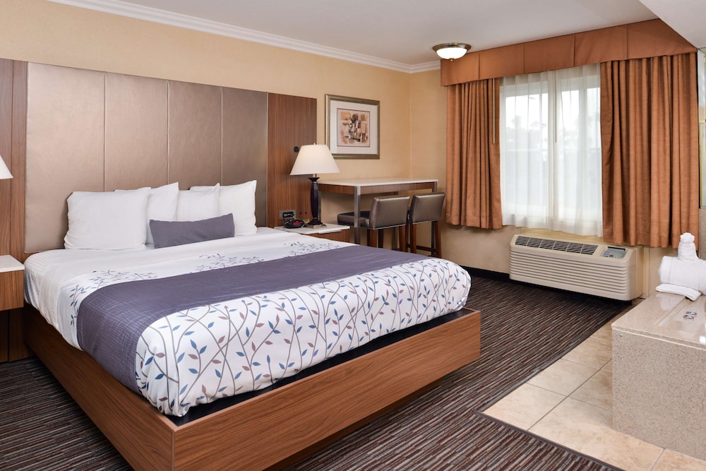 Best Western Airpark Hotel LAX Airport LA Stadium - photo 15
