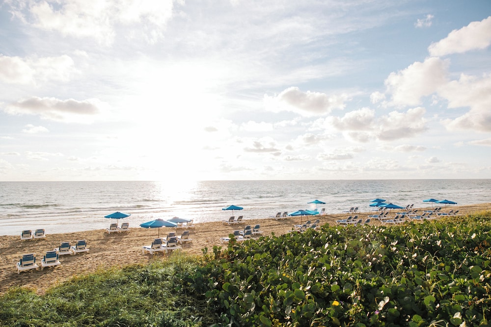 Delray Sands Resort - photo 41