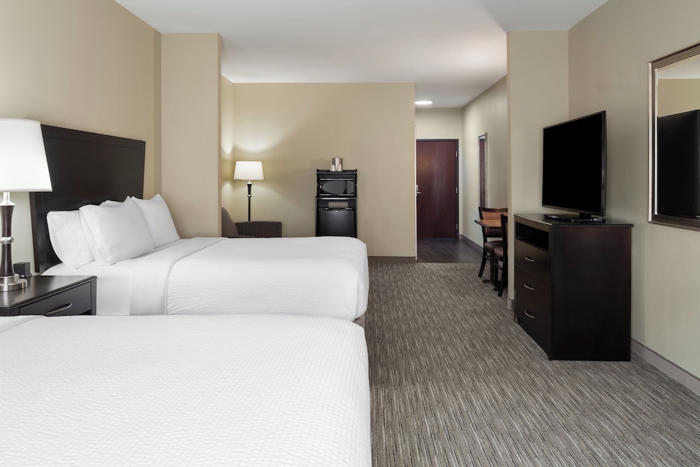 Holiday Inn Express &Suites Snyder by IHG - photo 15