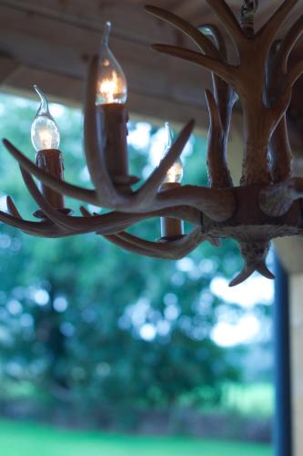 Old Deer Lodge by Neeltje Soet — Mierlo — photo 3