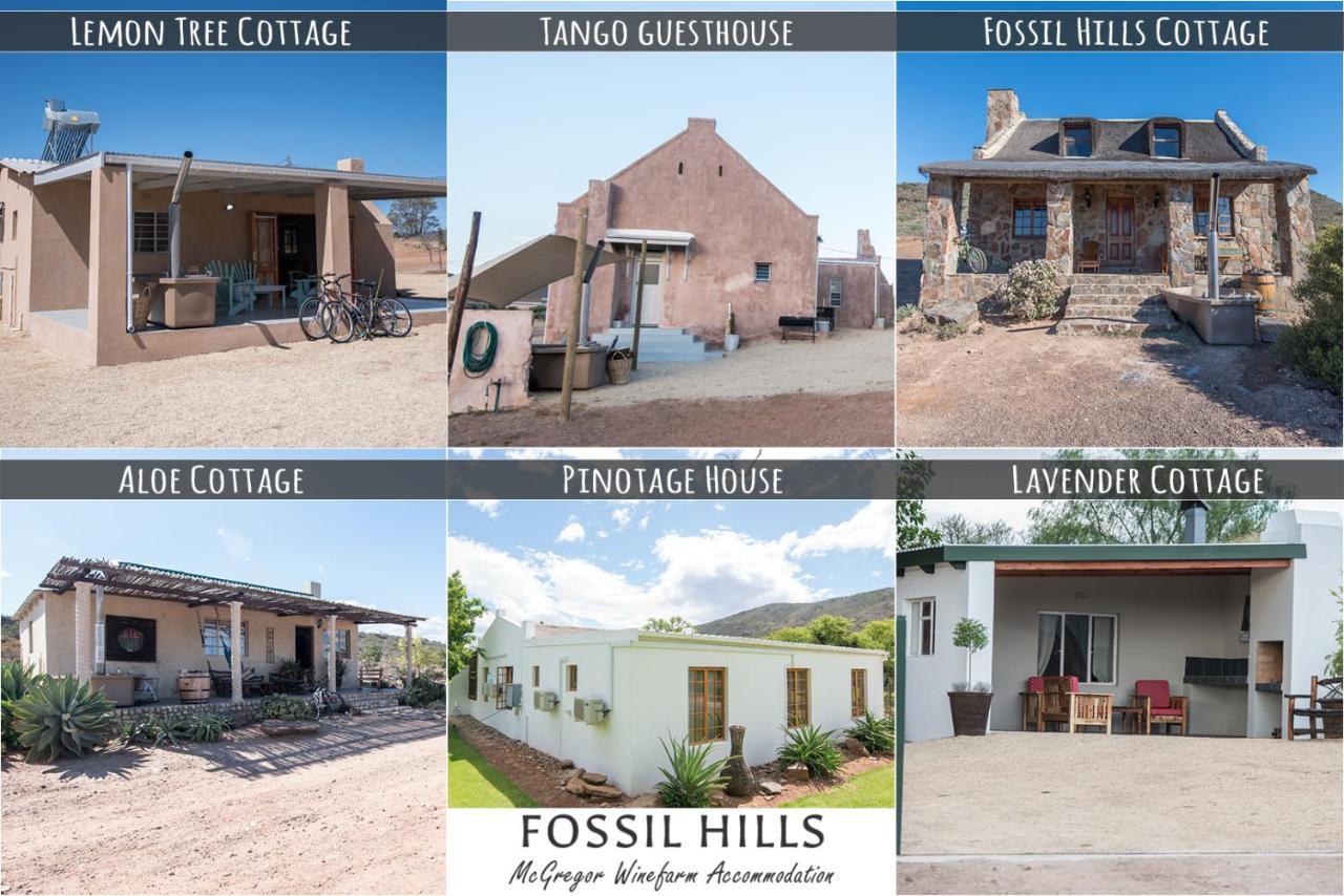 Fossil Hills — hotel in Mcgregor