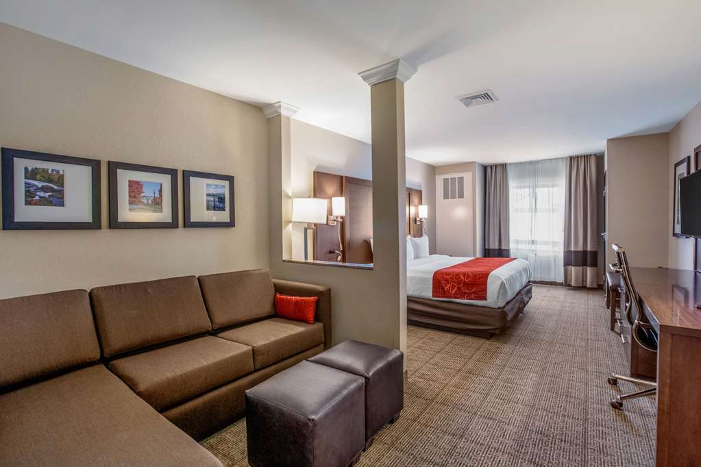 Comfort Suites Fishkill near Interstate 84 - photo 39