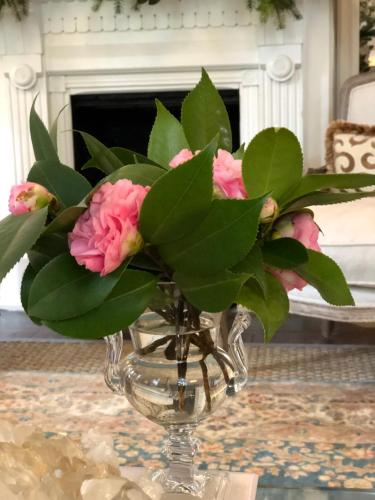 St. Francisville Inn - photo 23