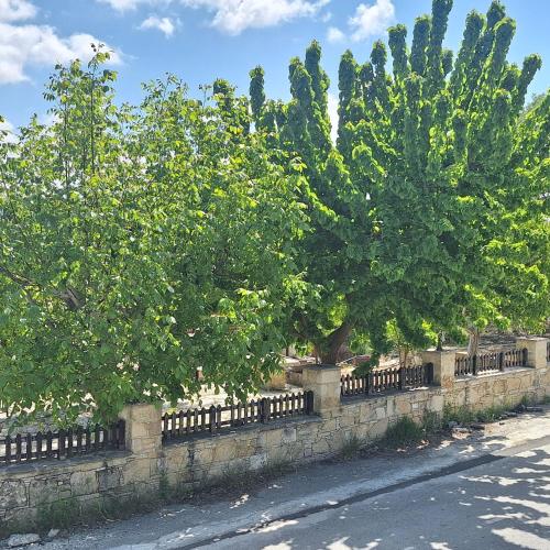 Koukaki in Unknown City, Cyprus