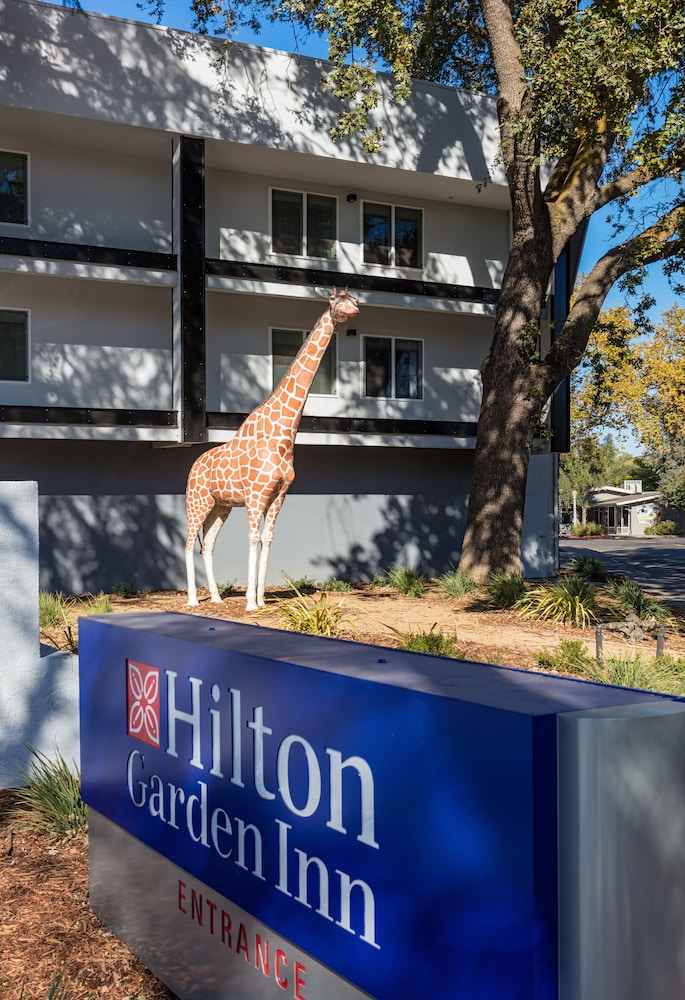 Hilton Garden Inn Davis Downtown - photo 29