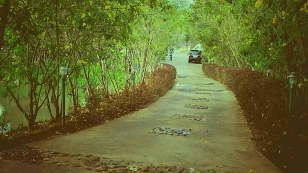 Magenta Resorts — Dandeli