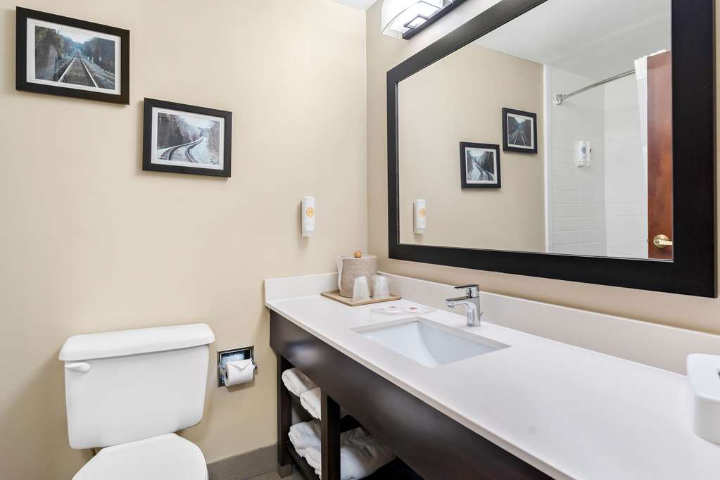 Comfort Suites near Robins Air Force Base - photo 6