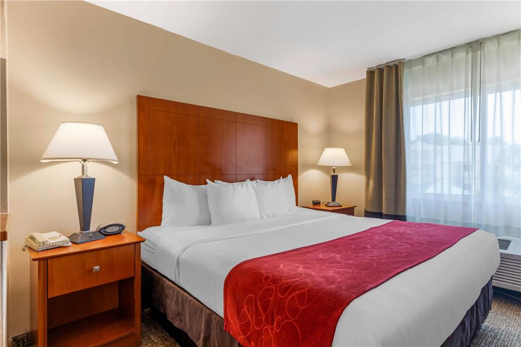 Comfort Suites North Dallas - photo 18