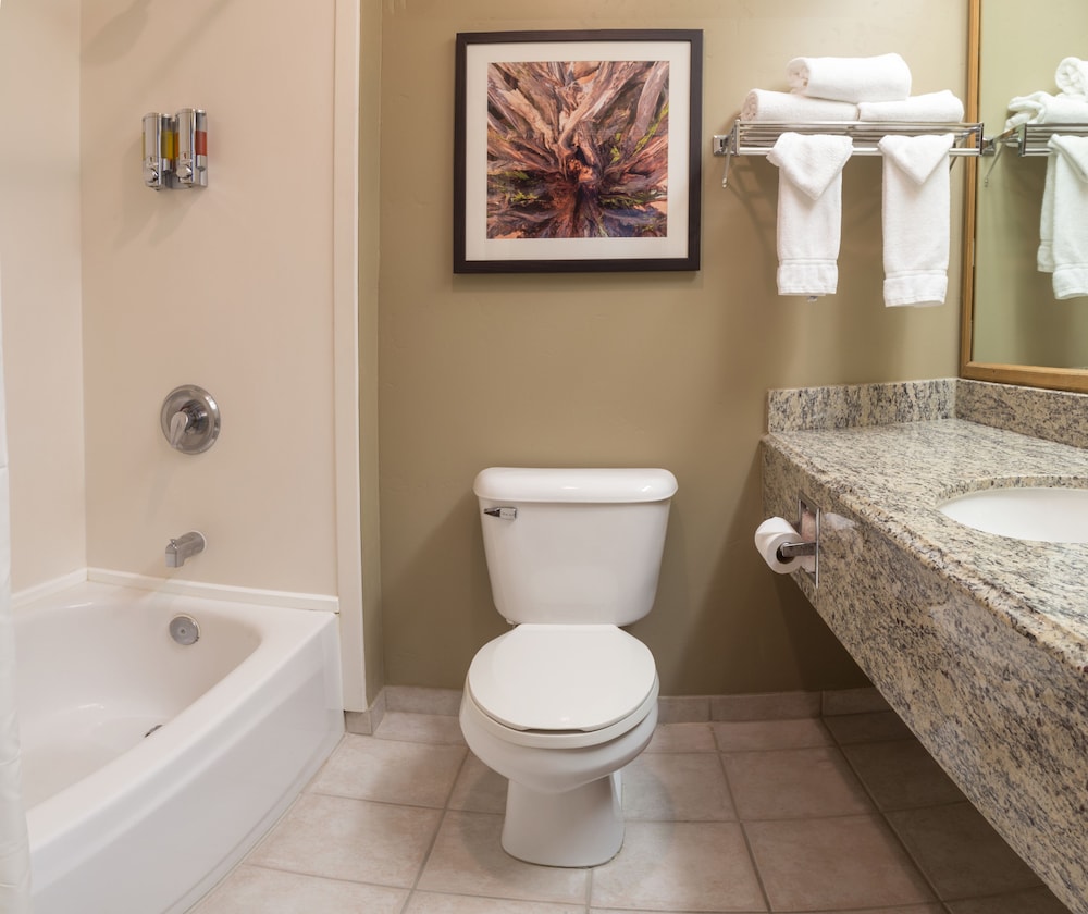 Gray Wolf Inn & Suites - photo 18