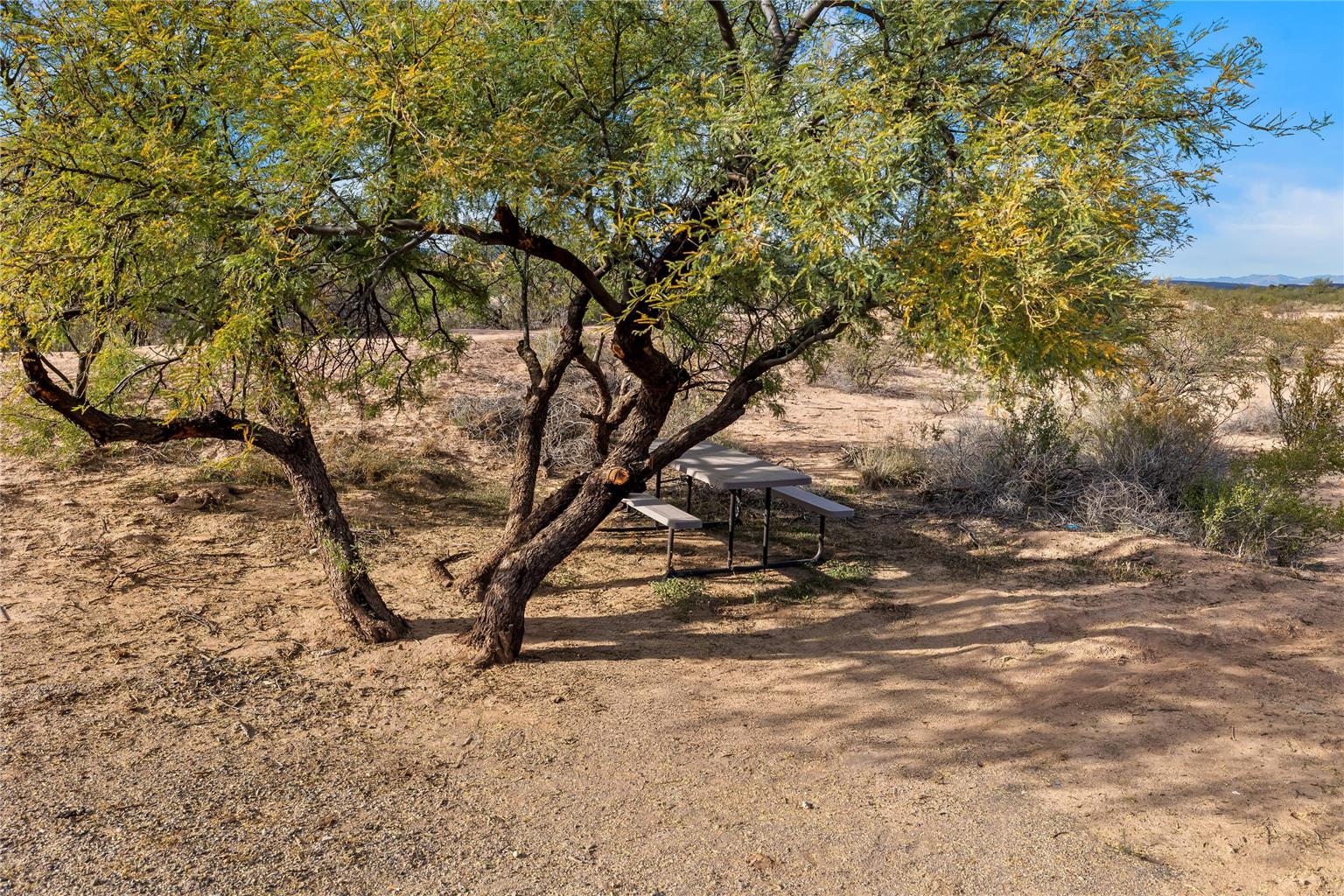 Rodeway Inn Copper Stay Benson AZ I 10 Exit 304 — Benson — photo 5