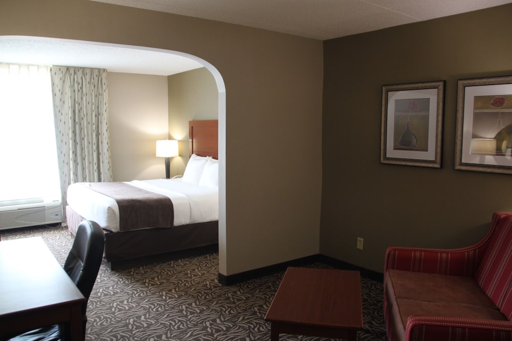 Clarion Inn & Suites University Area - photo 4