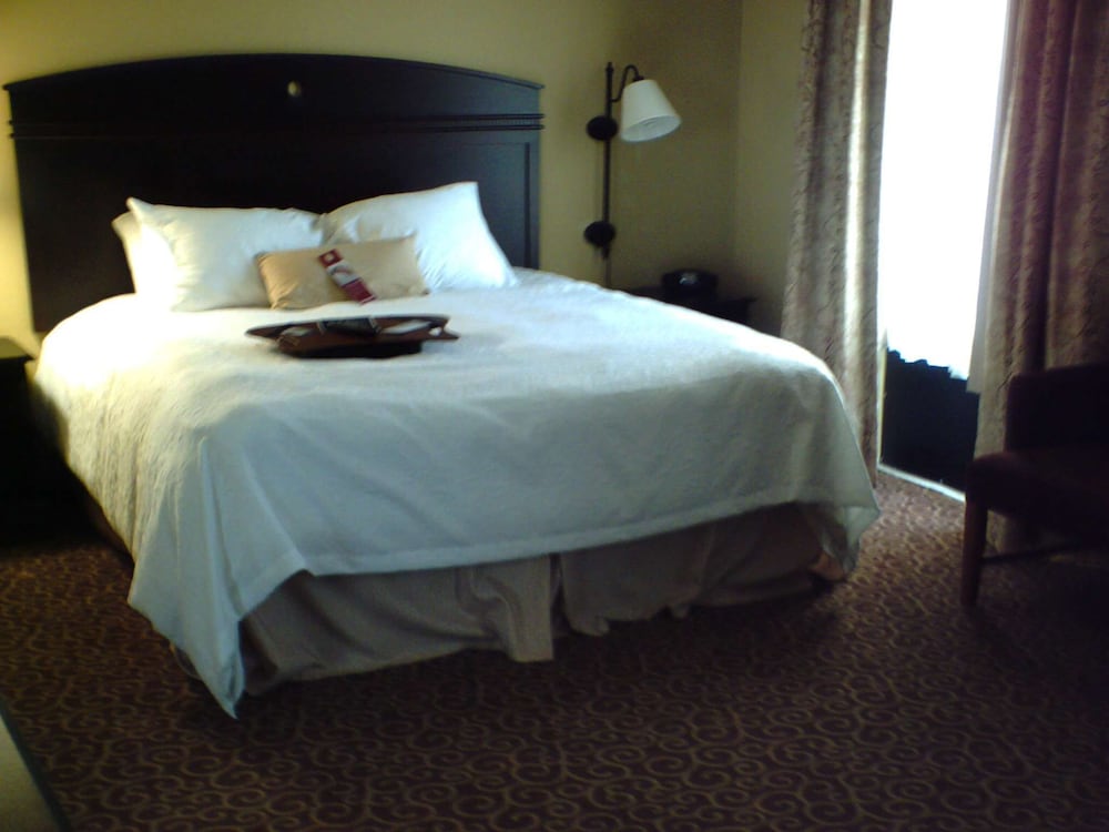 Hampton Inn Vidalia - photo 14