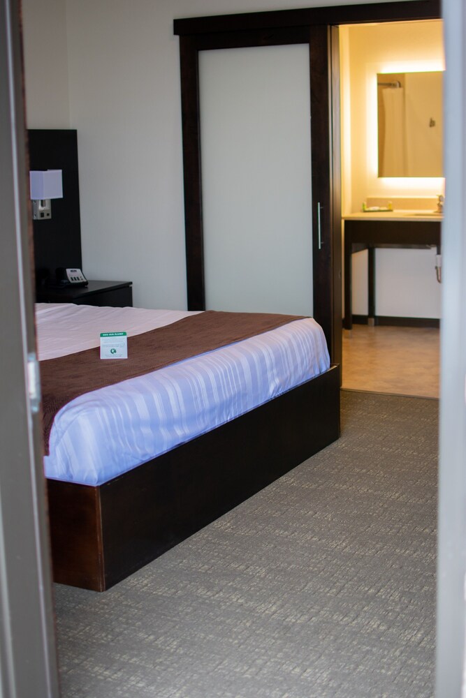 Boarders Inn & Suites by Cobblestone Hotels Syracuse - photo 8