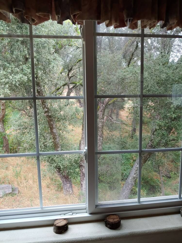 Bird Watcher Inn - photo 15