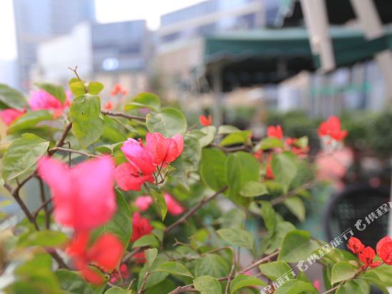 Hua Jue Hotel - last minute hotel in Chongqing