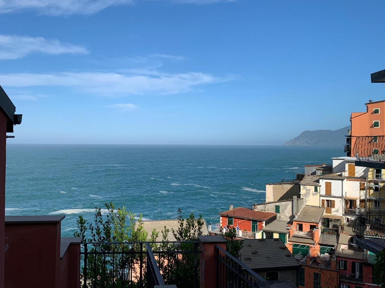 Arancio in Riomaggiore, Italy