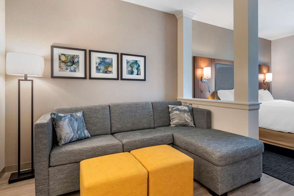 Comfort Suites Grandview Kansas City - photo 29
