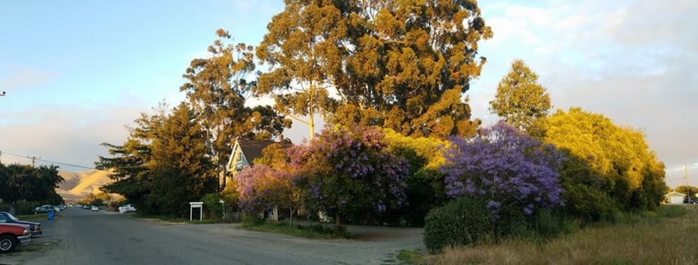 Kaleidoscope Inn & Gardens - photo 62