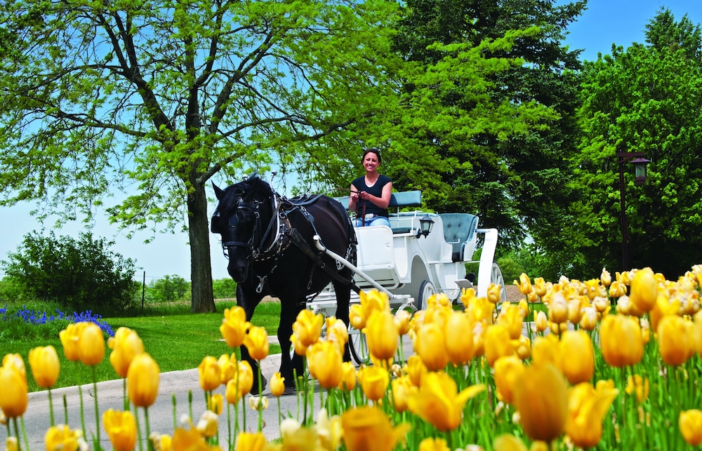 Holiday Inn Club Vacations at Lake Geneva Resort by IHG - photo 24