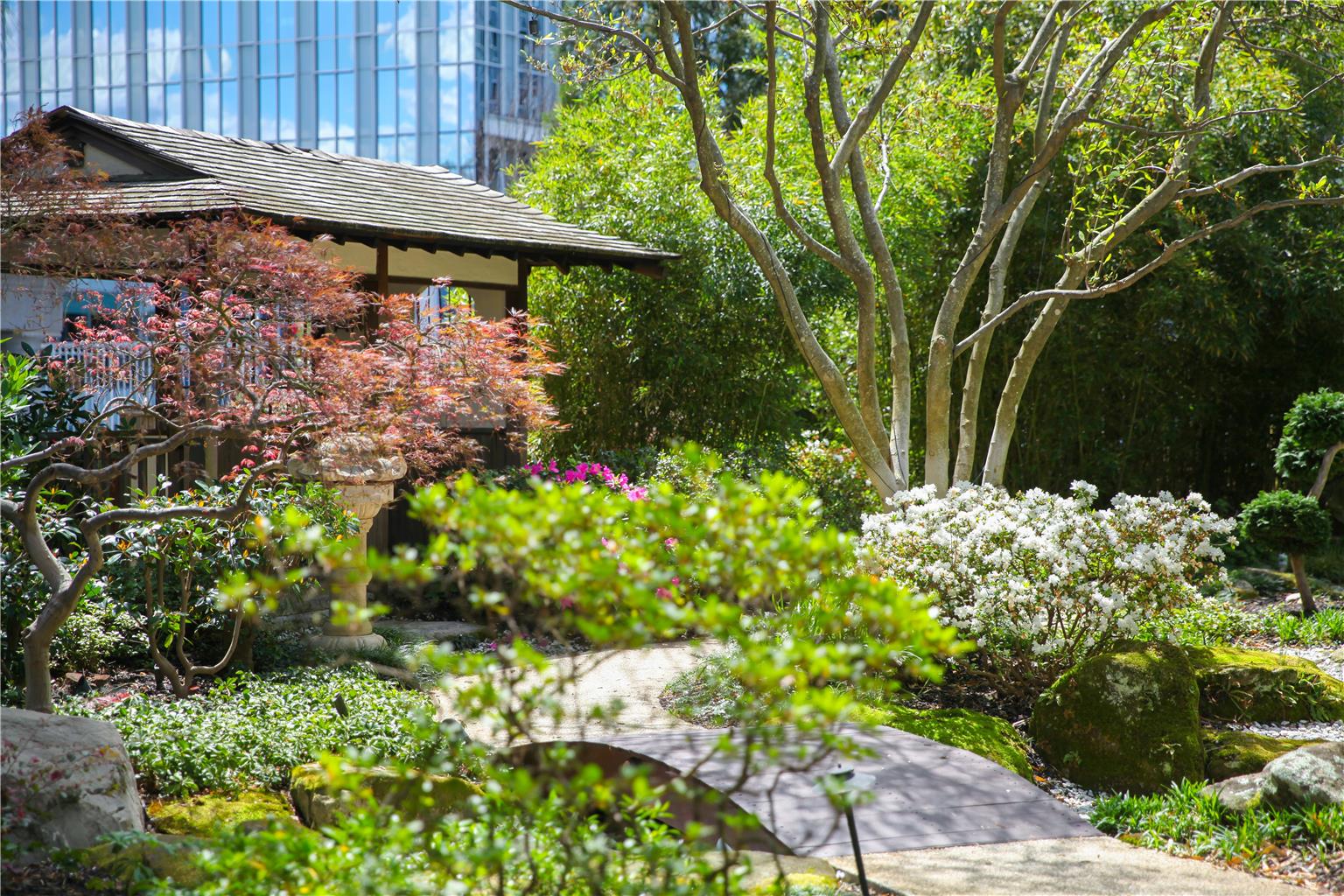 Grand Hyatt Atlanta in Buckhead - photo 34