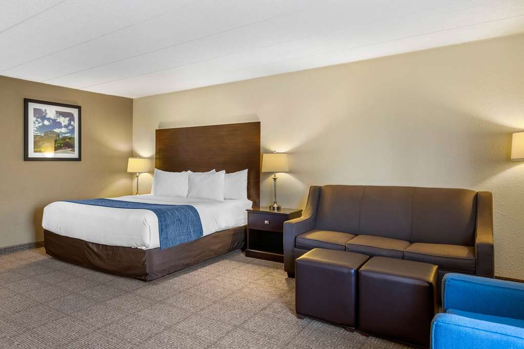 Comfort Inn Grand Rapids Airport - photo 29