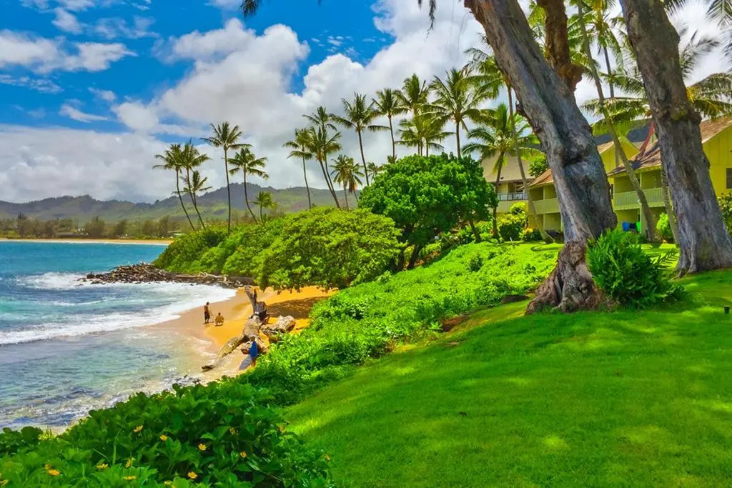 Kapaa Sands - photo 4