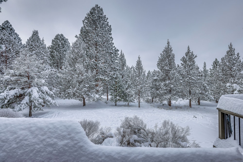 Mt Bachelor Village Resort Condo: 19 Mi to Skiing - photo 16