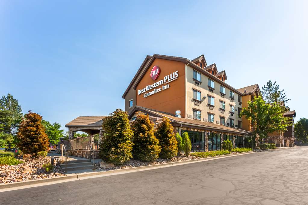 Best Western Plus CottonTree Inn - photo 25