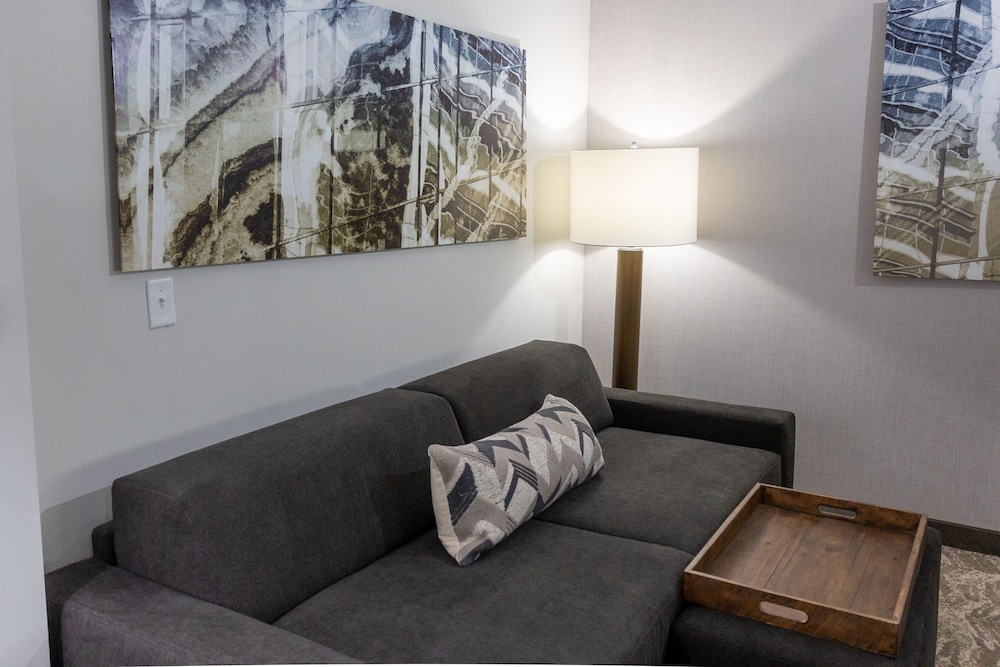 SpringHill Suites by Marriott Slidell - photo 9