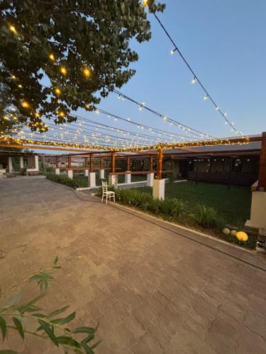 Gigios Sport&Relax pet-friendly hotel Bailesti