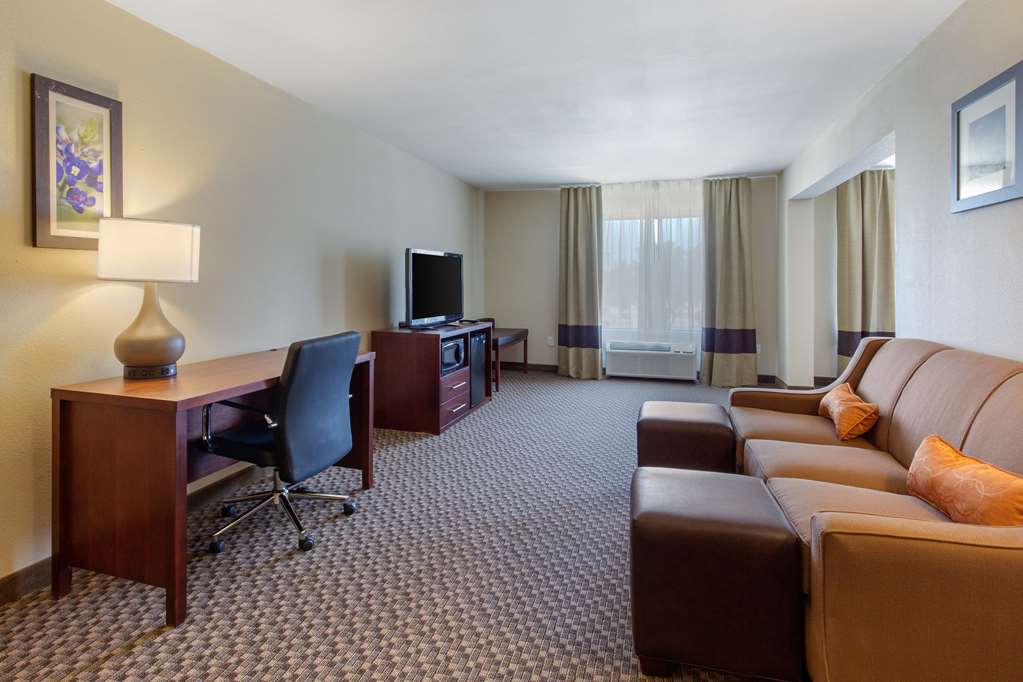 Comfort Inn & Suites SW Houston Sugarland - photo 20